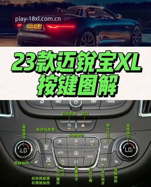 XL手机版 XL手机版功能详解与使用指南